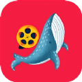 鲸鱼视频编辑苹果版软件app安装