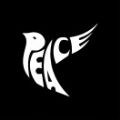 PEACE艺术藏品app官方