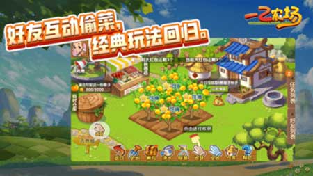 一乙农场