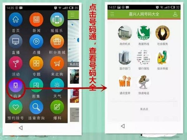 禾点点app