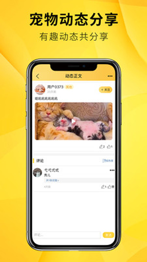 毛宠团