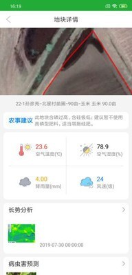 农鲸