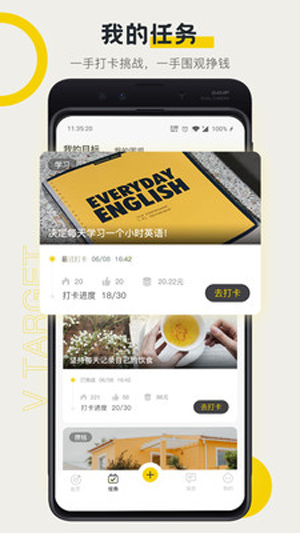 V目标