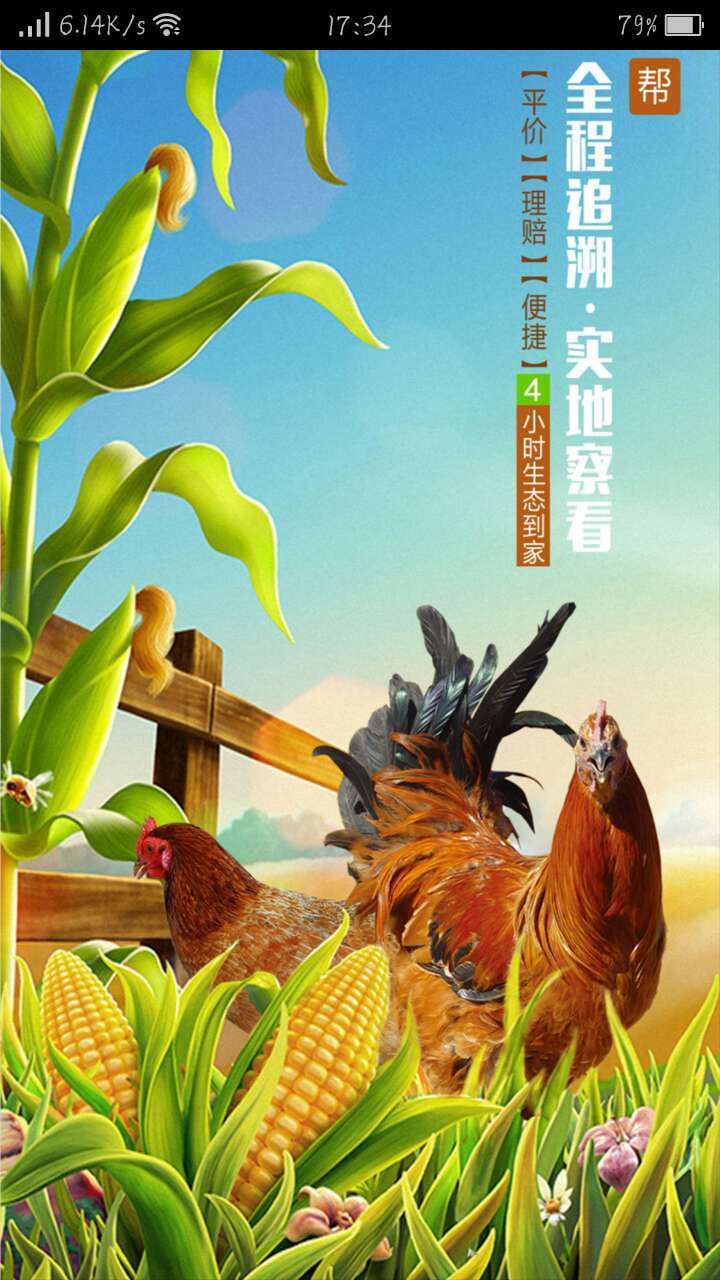 乡缘筹
