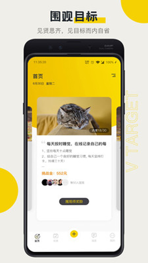 V目标