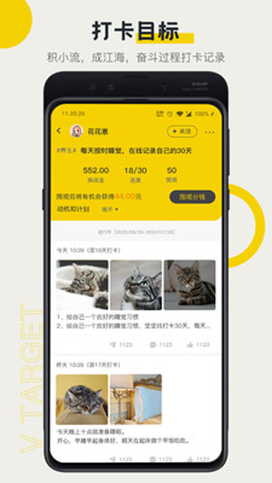 V目标