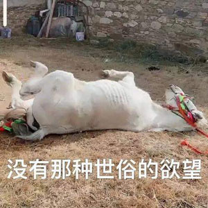 贫僧这就还俗表情包