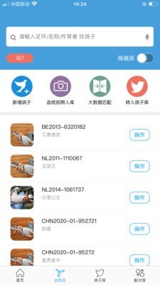 赛鸽云