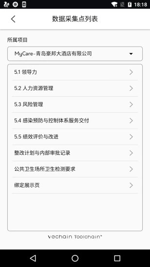 VeChain Work