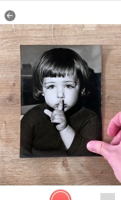 Colorize清爽版