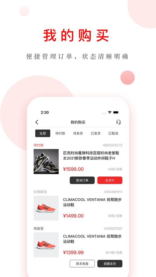 易红体育