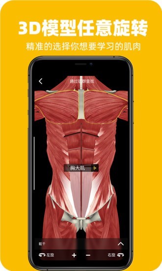 3Dfit