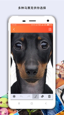马赛克app