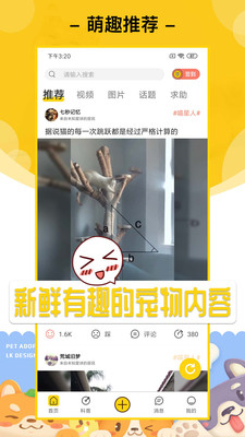 爱宠星球
