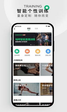 计步器手机版