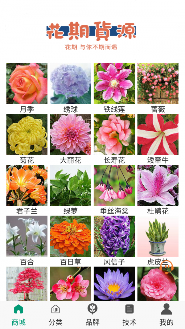花期货源