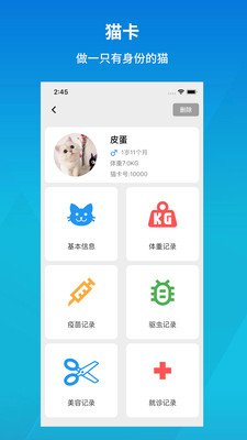 猫村