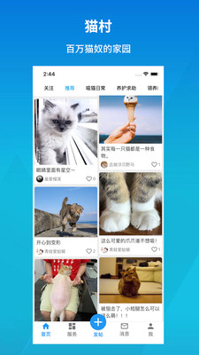 猫村