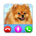 Dog Fake Call来电视频铃声app最新版