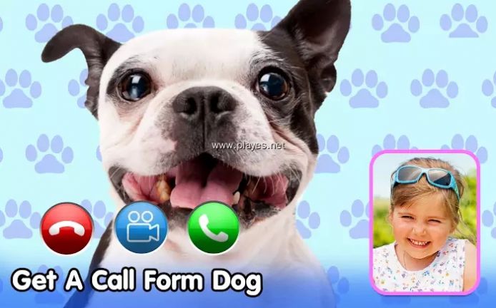 Dog Fake Call来电视频铃声app最新版