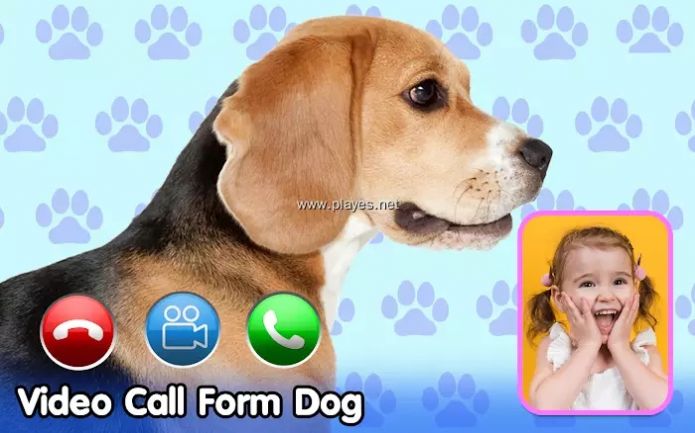 Dog Fake Call来电视频铃声app最新版