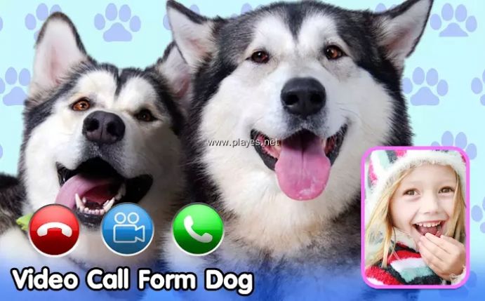 Dog Fake Call来电视频铃声app最新版