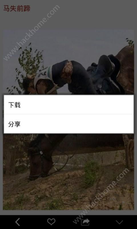 劳资疯了手机app