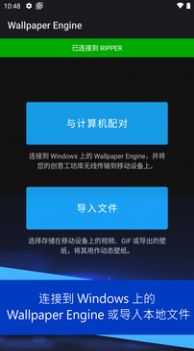 麻匪动态壁纸图片文件app安卓手机版