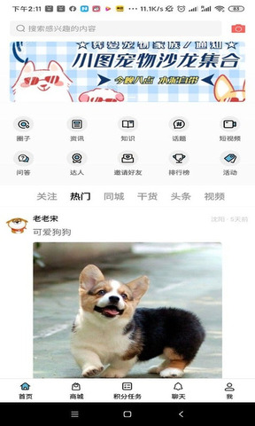 宠物社区