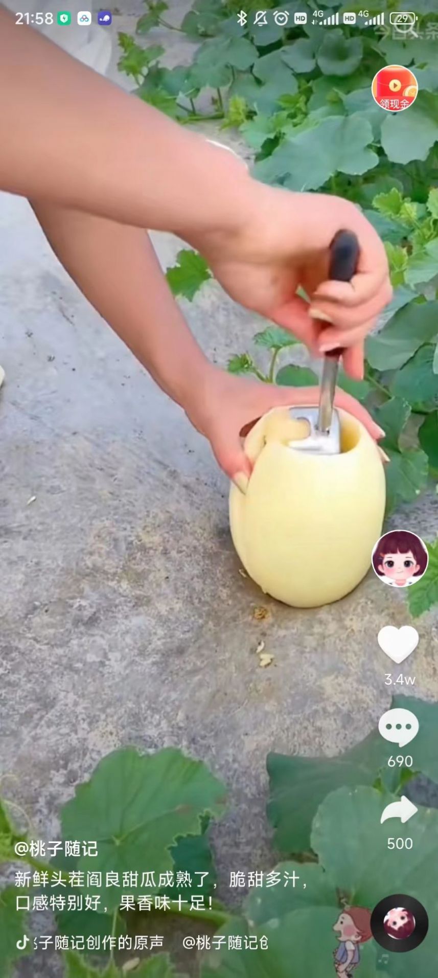 北猴短视频app手机版