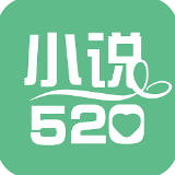 小说520