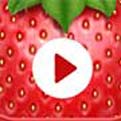 草莓视频cmm66无限次数版在线观看视频官网版