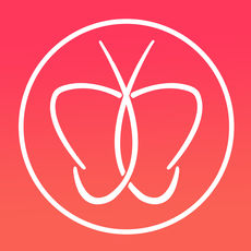 维蝶直播官网版