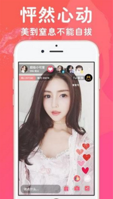 金马直播官网版