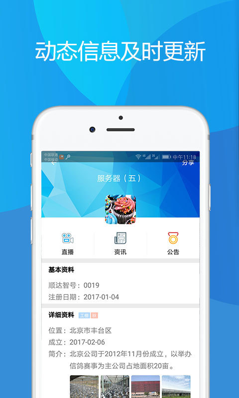 顺达信鸽官网版