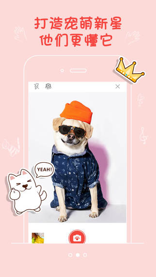 宠仔圈官网版