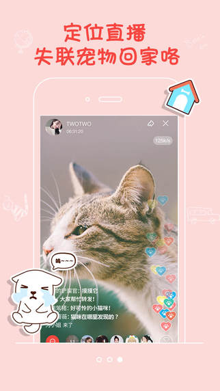 宠仔圈官网版