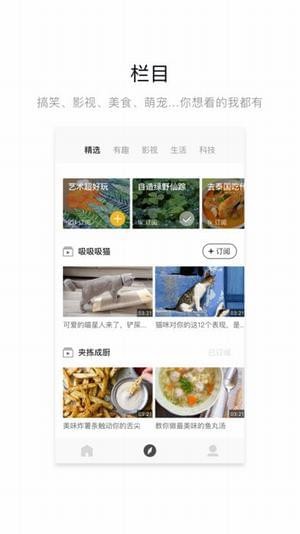 网易菠萝视频官网版