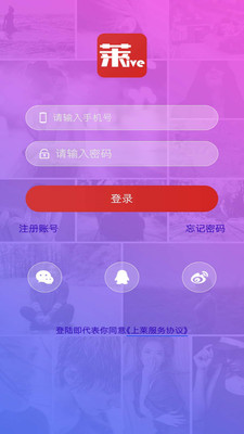 上莱直播app官网版