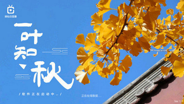 烧包谷直播官网版