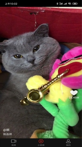 拍呱呱短视频最新版