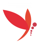 蜻蜓主播官网版