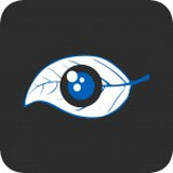 BlueEyes直播 电脑版官网版