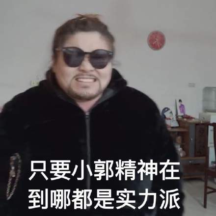 郭言郭语表情包