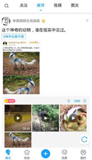 最右无广告版