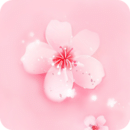 桃花直播免费观看片手机版官网版