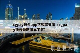 cgpay钱包app下载苹果版（cgpay钱包最新版本下载）