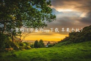 币盈网（币盈网app下载 苹果手机）