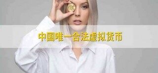 中国唯一合法虚拟货币 虚拟货币简介