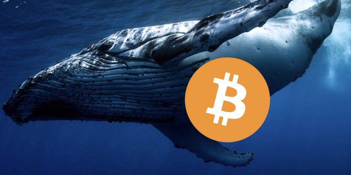 砸盘？沉睡九年巨鲸1周内转出1.5万枚比特币 部分流向BIAN、Kraken-第1张图片-欧意下载